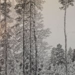 Lichter Wald 1984